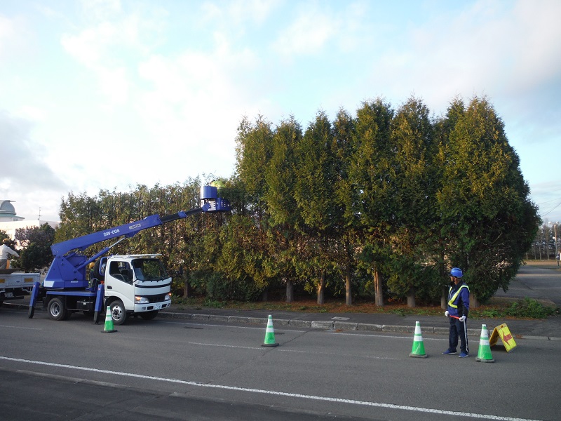 豊頃町立豊頃小学校　支障木の剪定作業（令和3年11月6日）