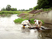 売買川魚道工のゴミ清掃